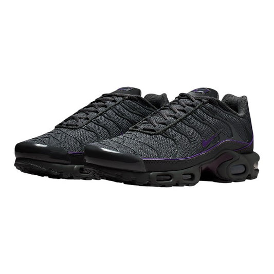 Nike Air Max TN Iron Grey & Wild Grape