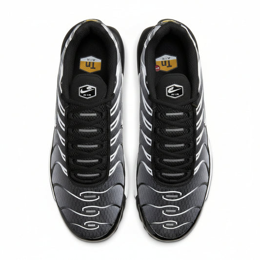 Nike Air Max TN Metallic Silver