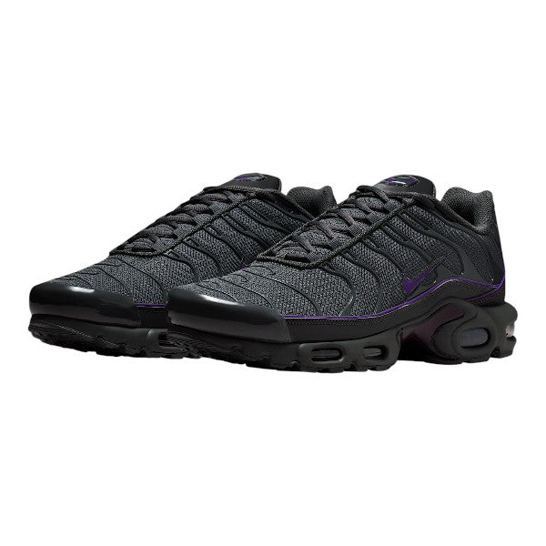 Nike Air Max TN Iron Grey & Wild Grape