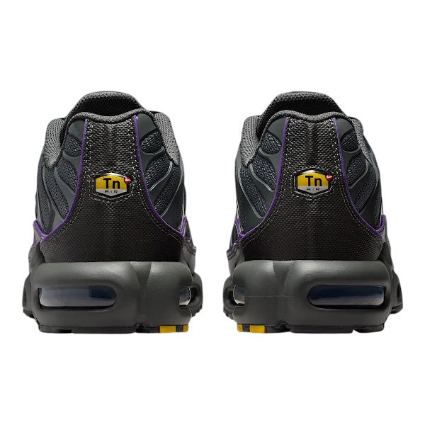 Nike Air Max TN Iron Grey & Wild Grape