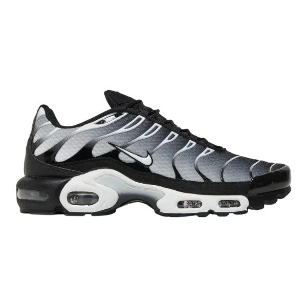 Nike Air Max TN Metallic Silver