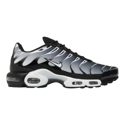 Nike Air Max TN Metallic Silver