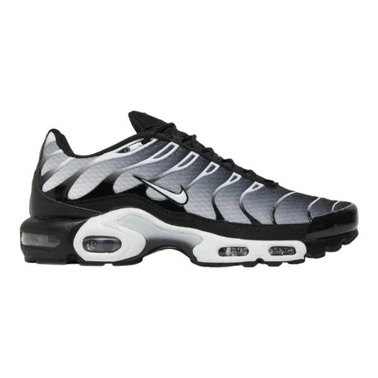Nike Air Max TN Metallic Silver