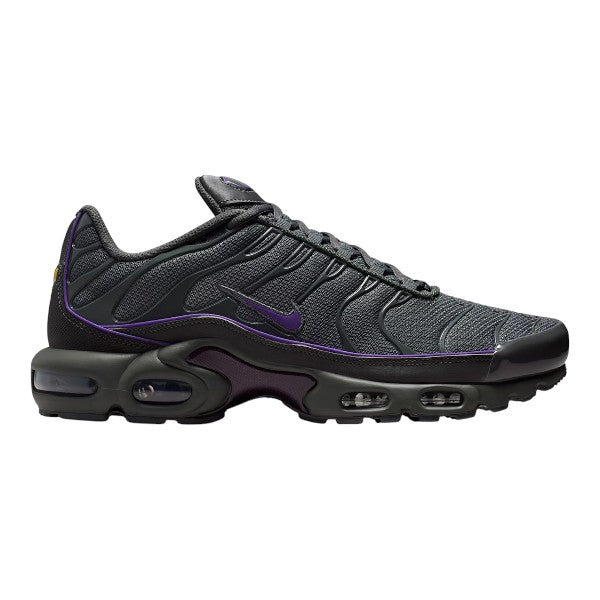 Nike Air Max TN Iron Grey & Wild Grape