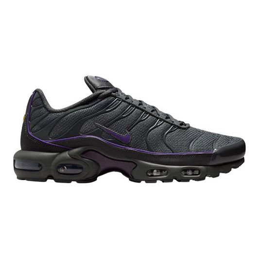 Nike Air Max TN Iron Grey & Wild Grape