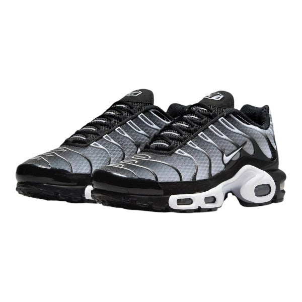 Nike Air Max TN Metallic Silver