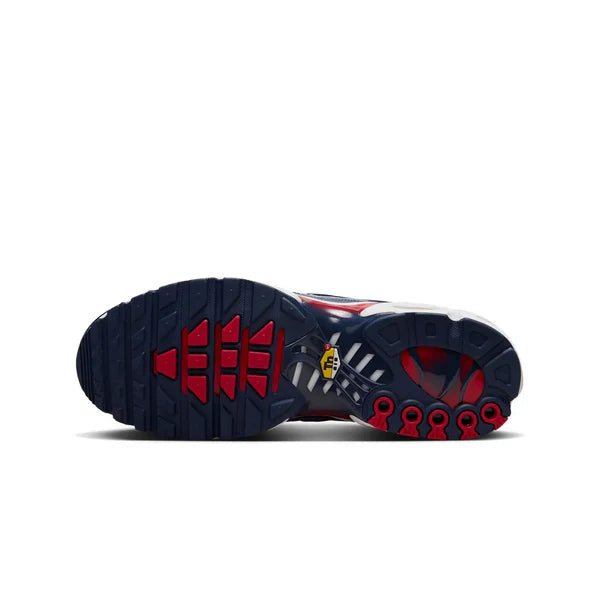 Nike Air Max TN Eclair