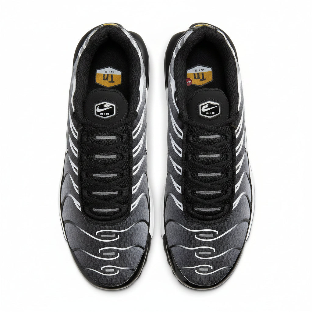 Nike Air Max TN Metallic Silver