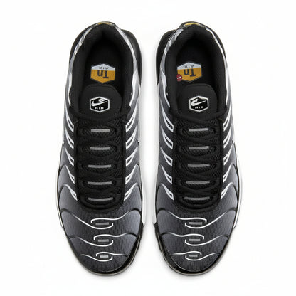 Nike Air Max TN Metallic Silver