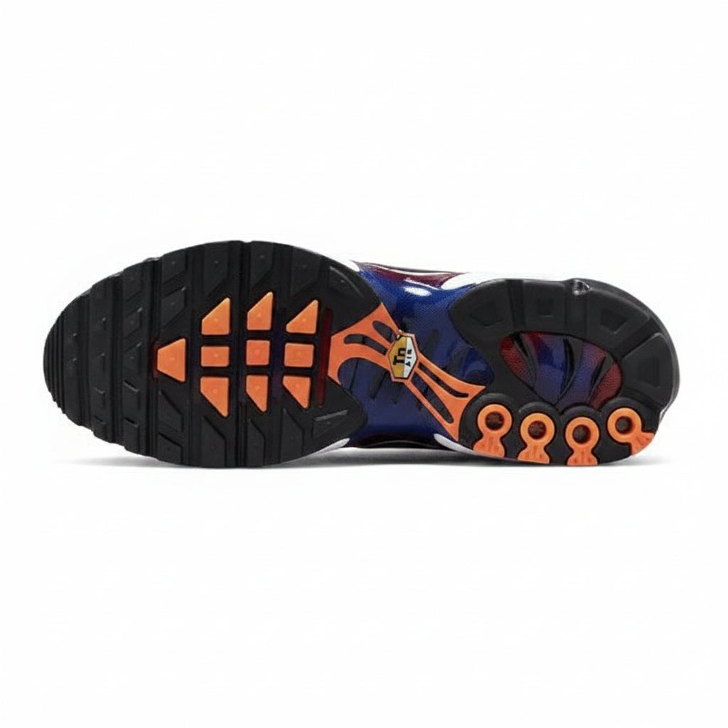 Nike Air Max TN F.C. Barcelona